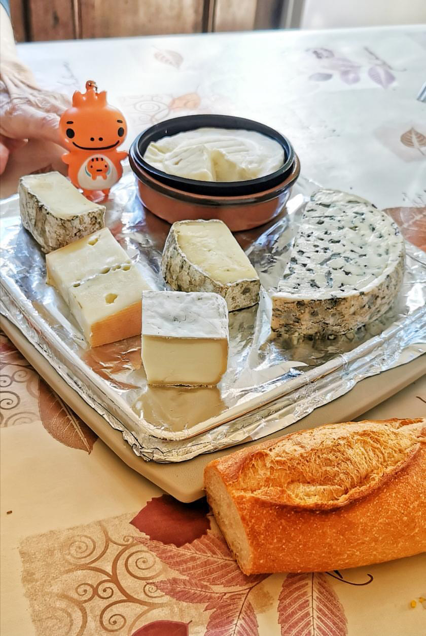 チーズを食べるミササラドン