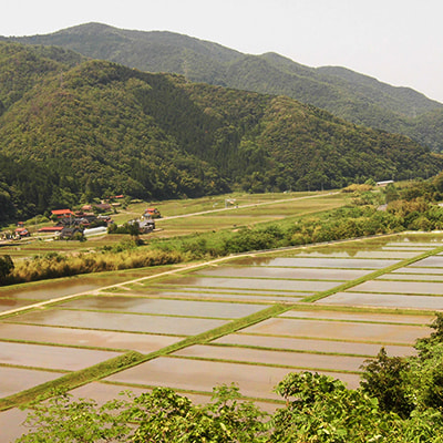 鳥取県東伯郡三朝町久原