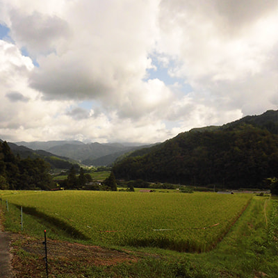 鳥取県東伯郡三朝町片柴