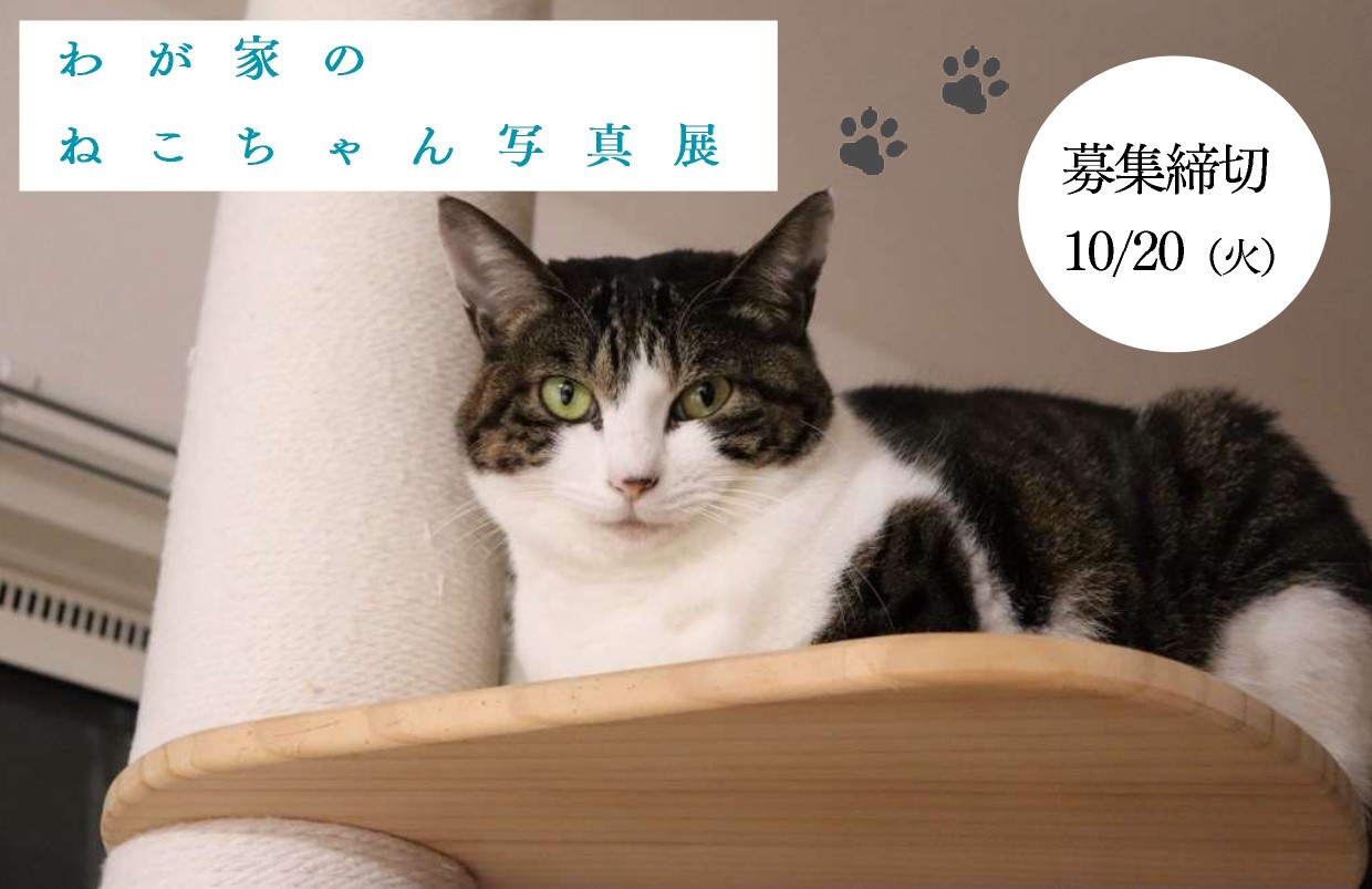 わが家のねこちゃん写真展バナー